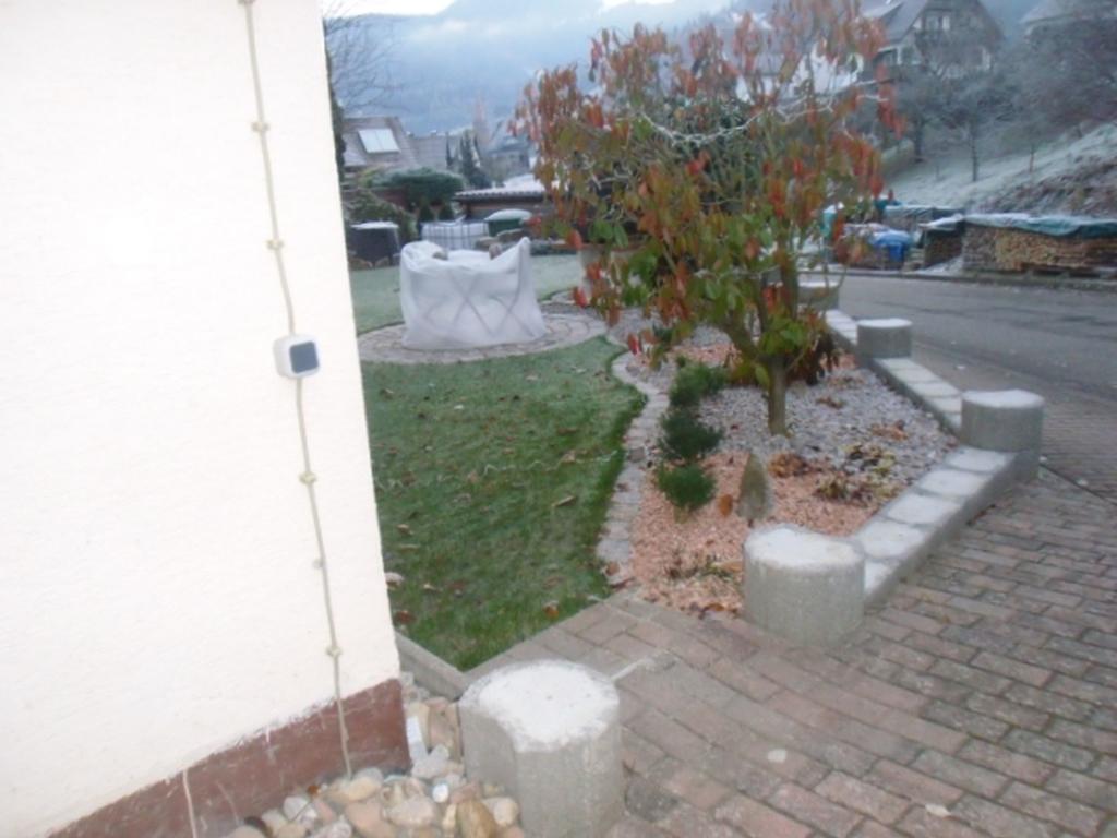 Apartment Zapf Forbach